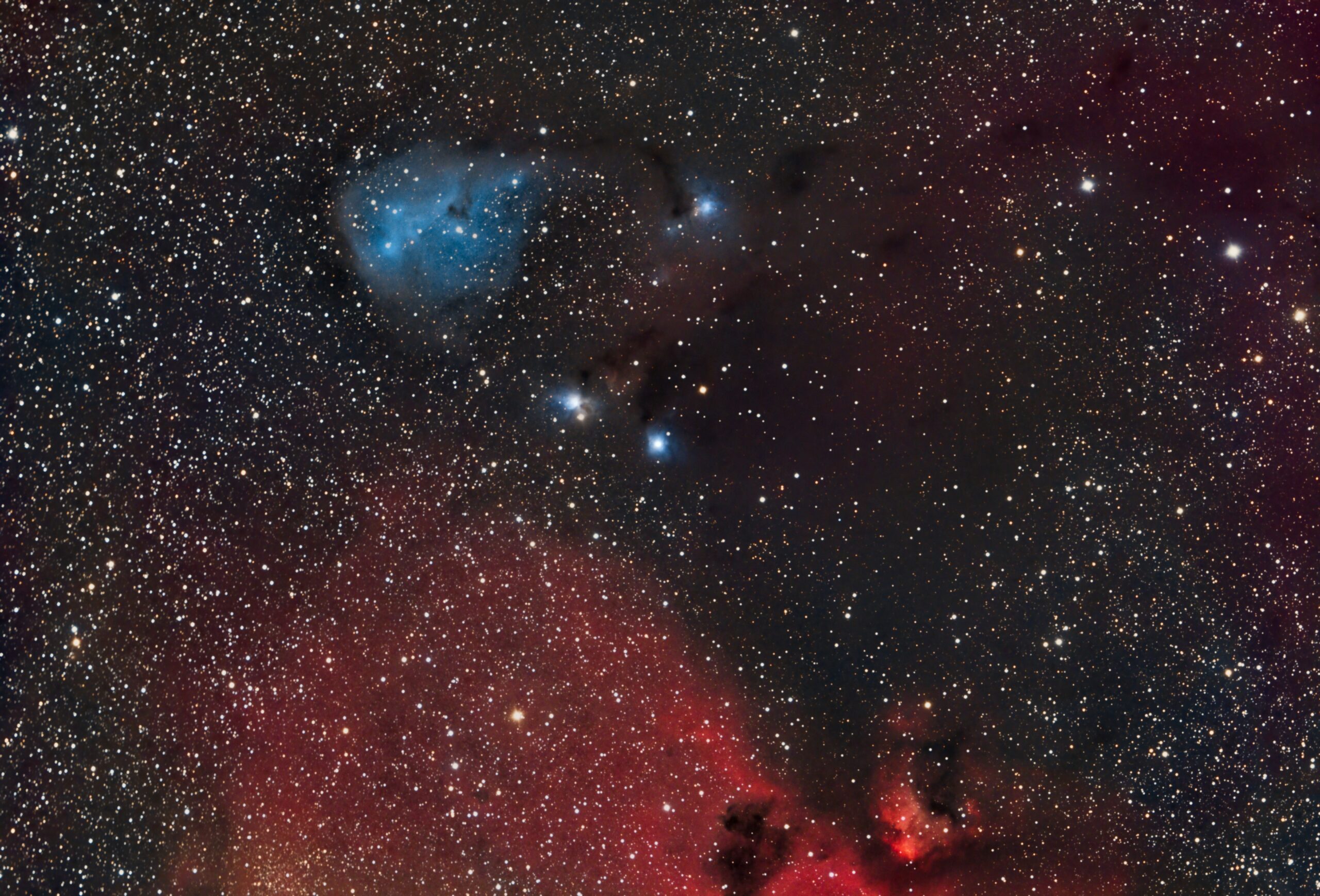 NGC 2247 – IC 2169 – B37