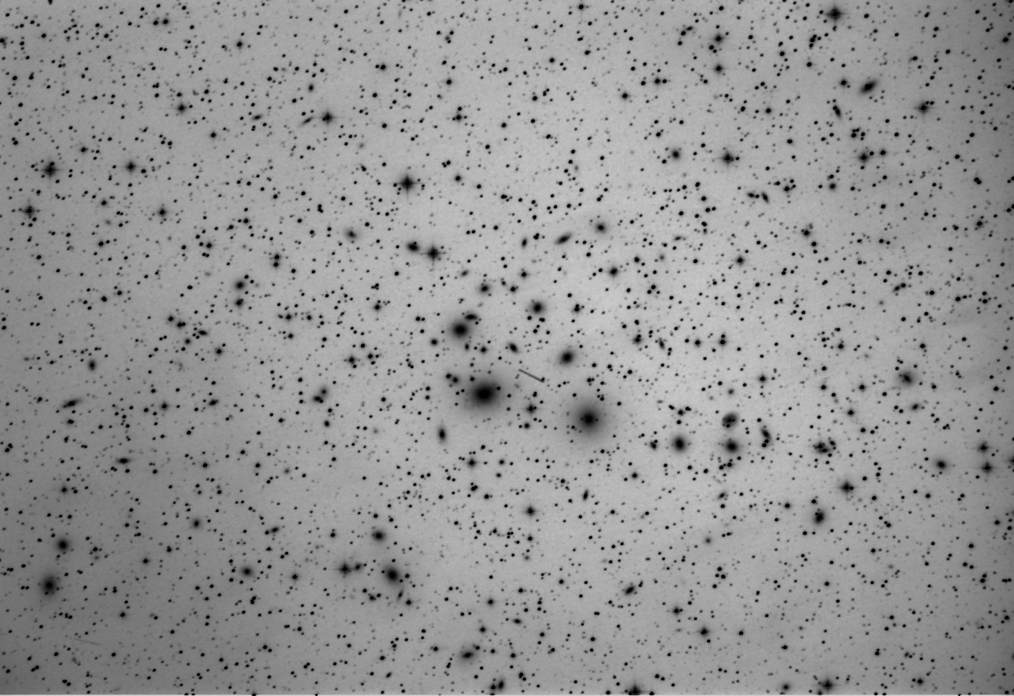 Ammasso di galassie Abell 426 + Asteroide 998 Bodea