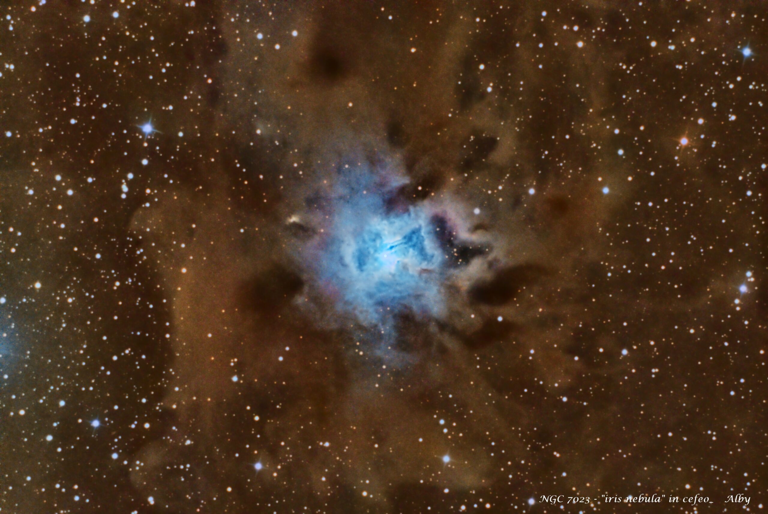 NGC 7023 – “Iris Nebula”
