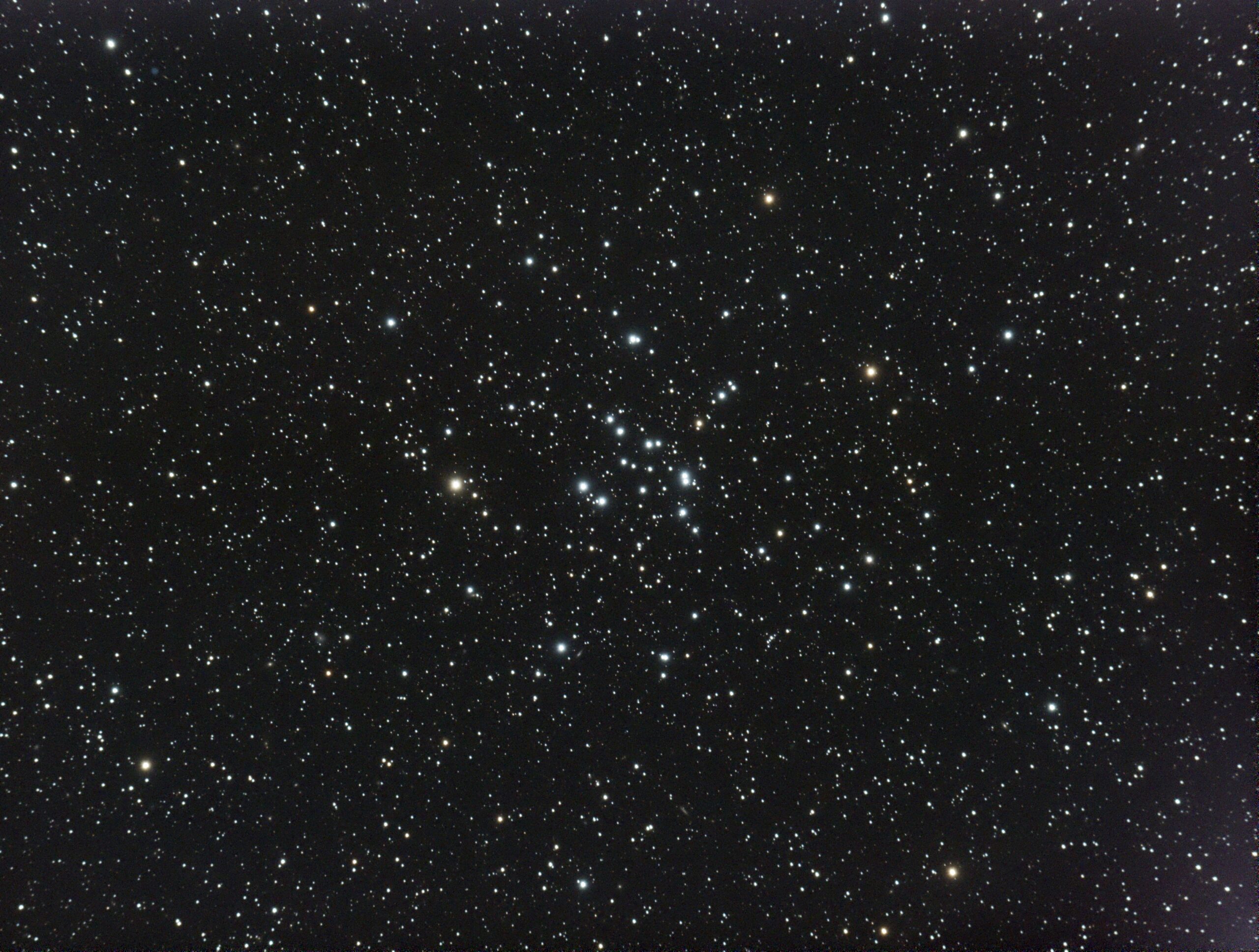 Ammasso stellare aperto Messier 34(NGC1039) Costellazione di Perseo.