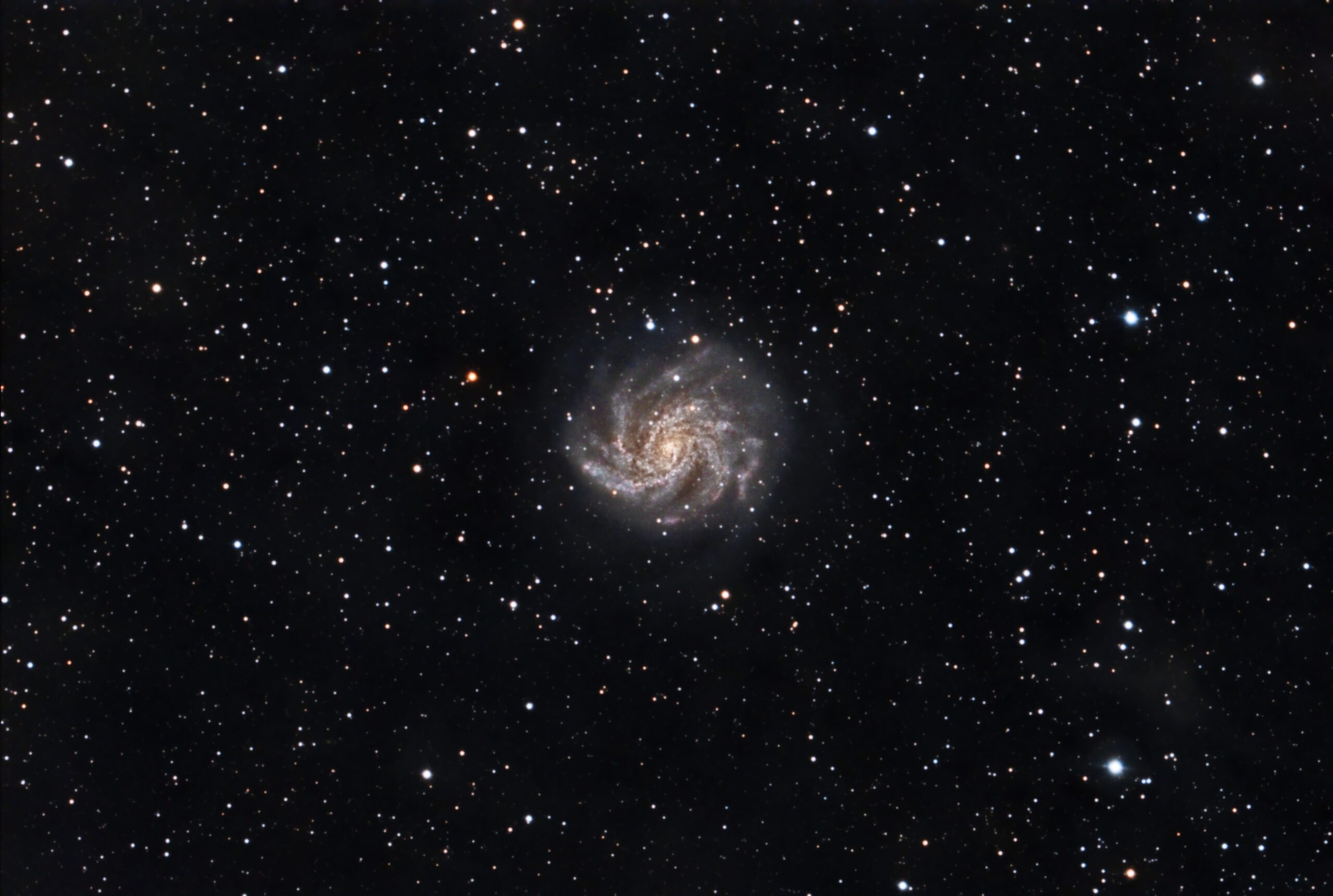 NGC 6946 – C 12                  “Galassia fuochi d’artificio”