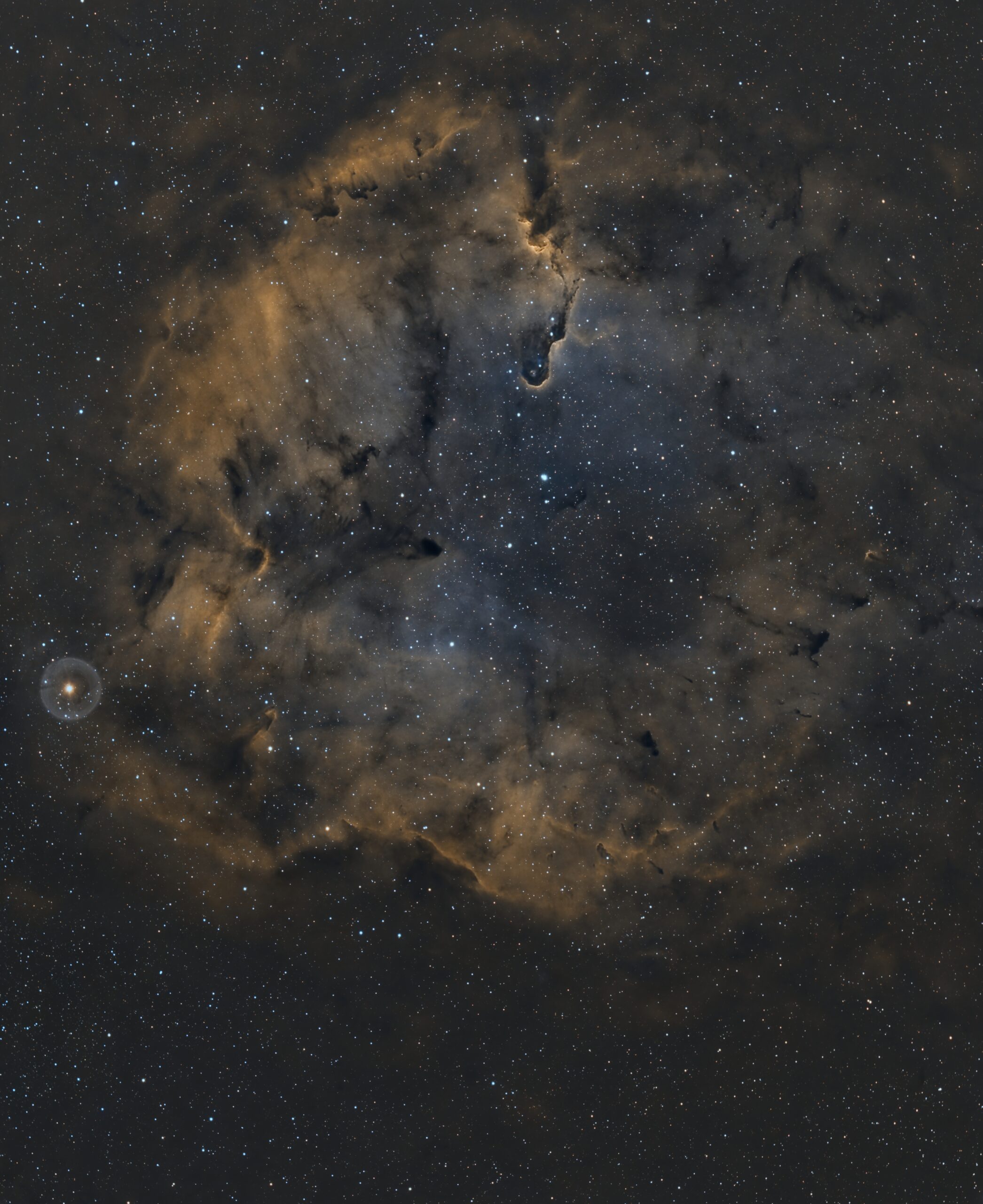 IC 1396