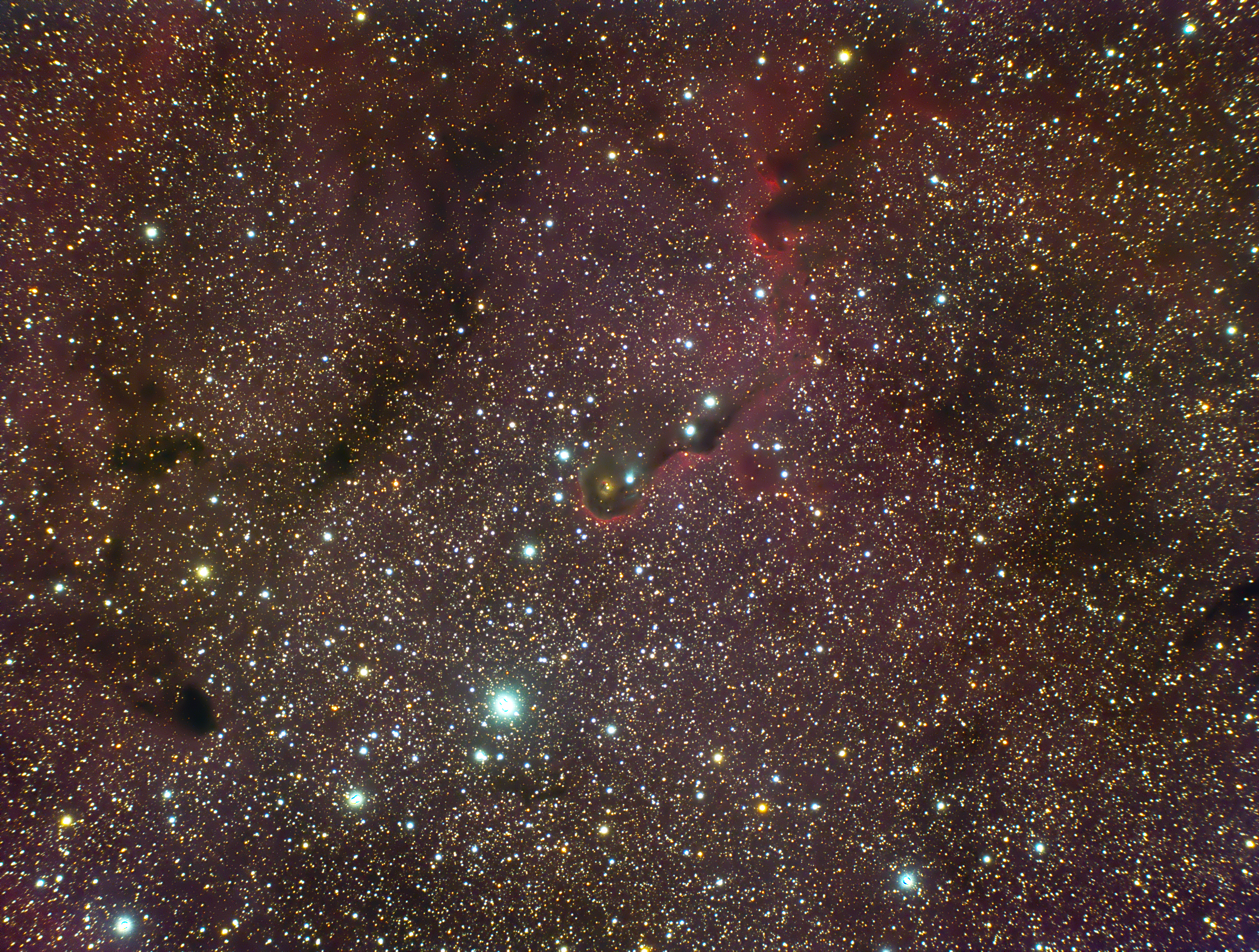 Nebulosa proboscide di Elefante