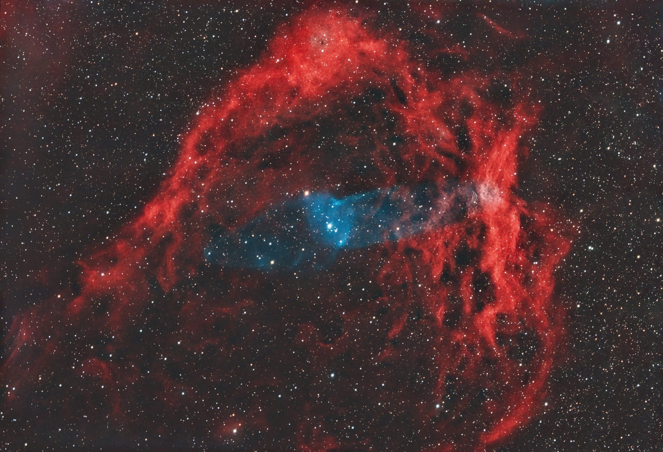 SH2-192-OU 4 “Squid Nebula”