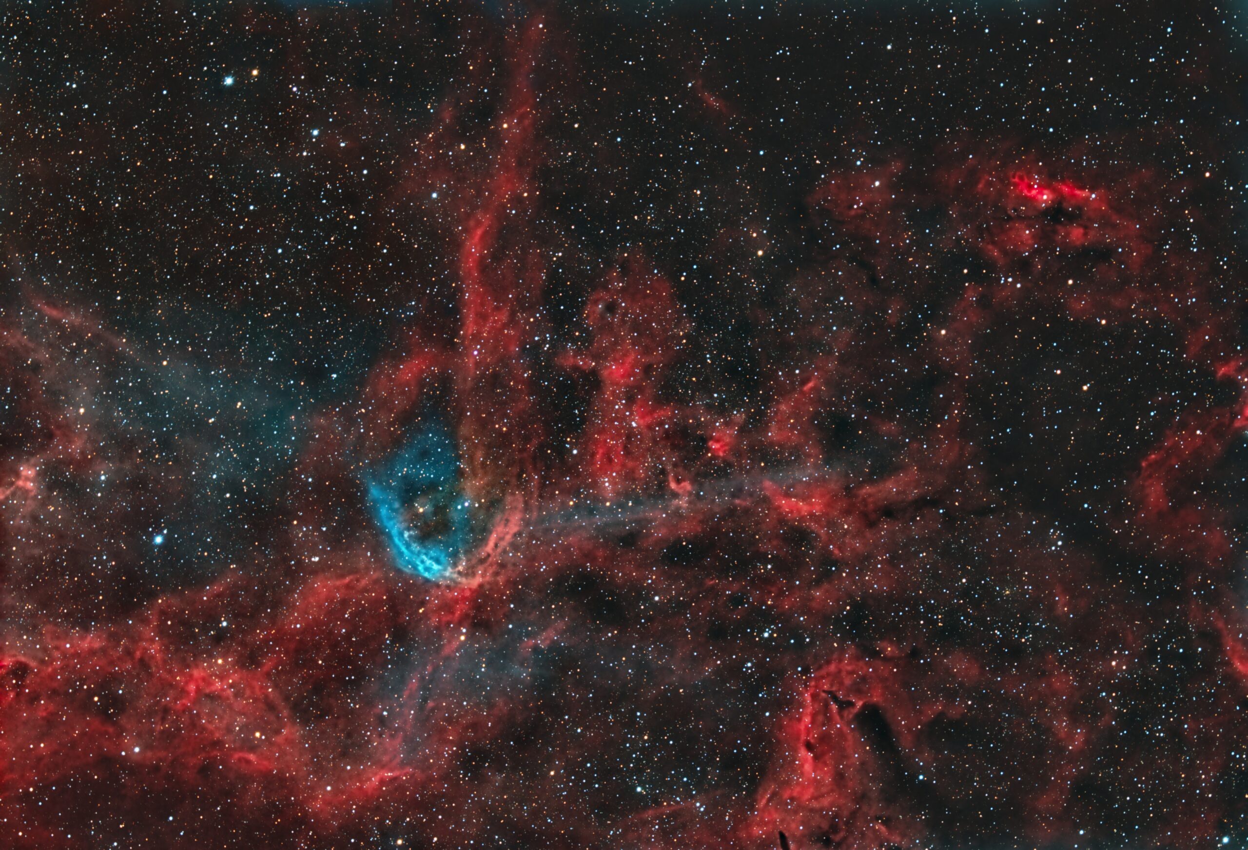 NGC 6883           WR 134