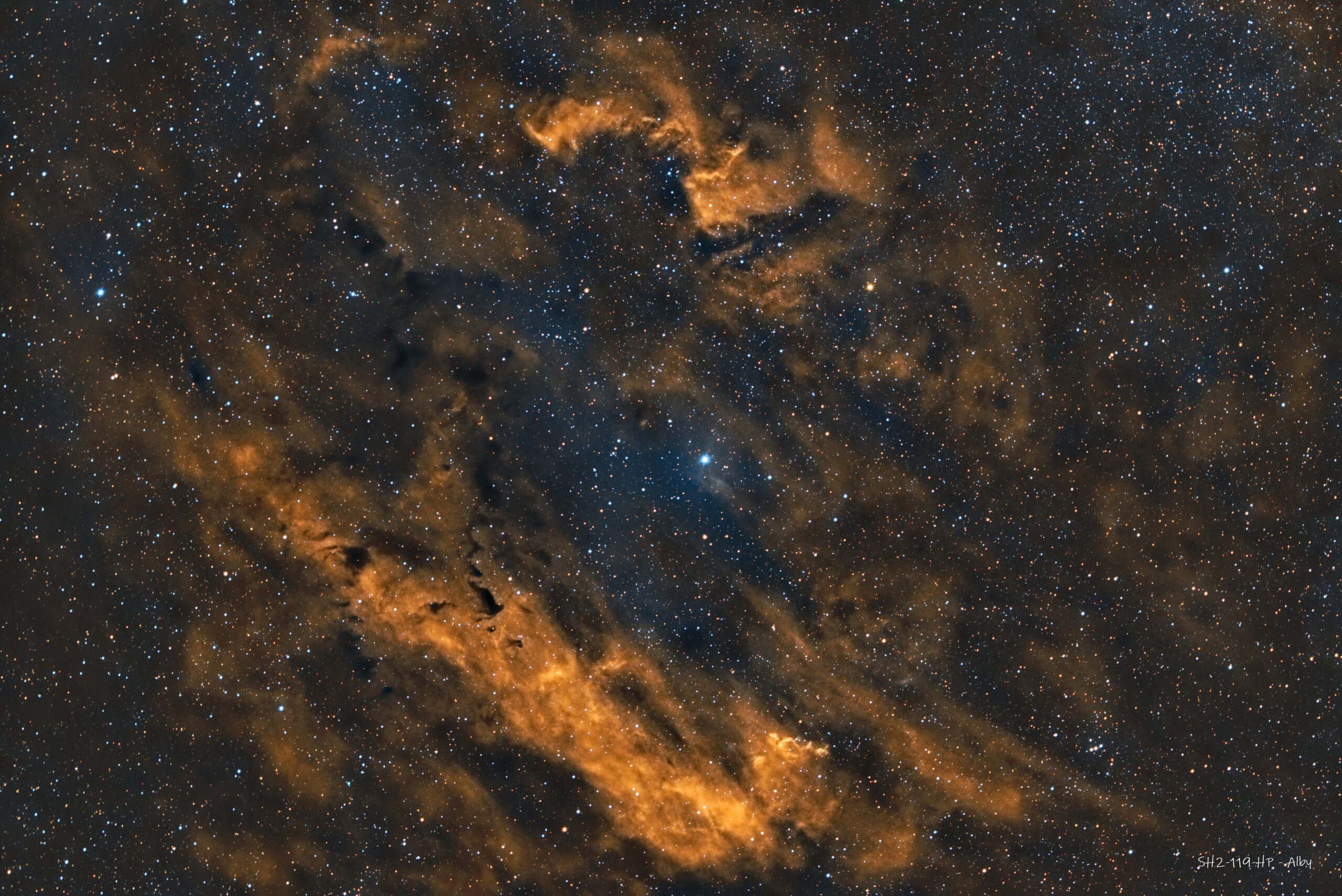 SH2-119                    Nebulosa conchiglia