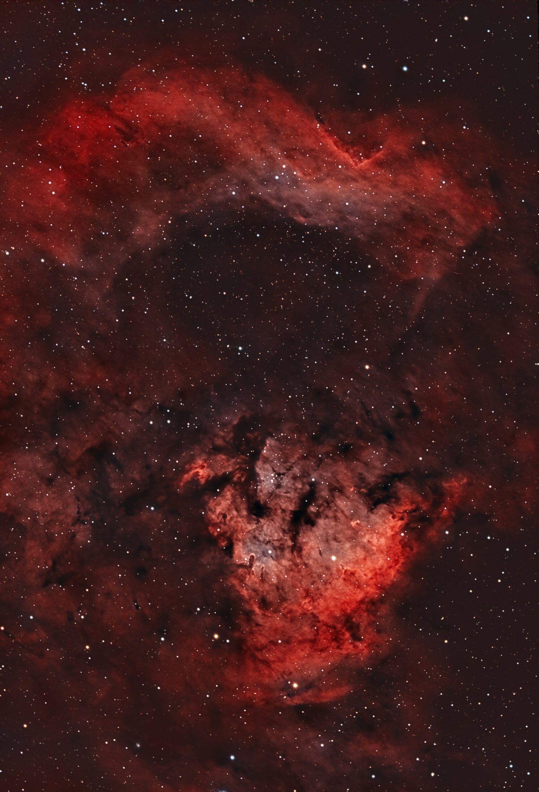 NGC 7822 “Flamming skull”